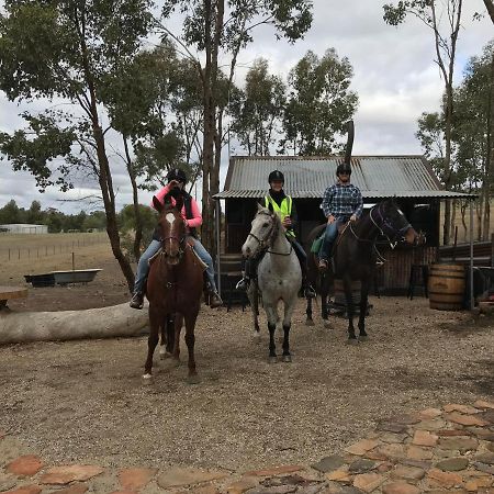 Yeoy'S Cabin Tallarook Esterno foto