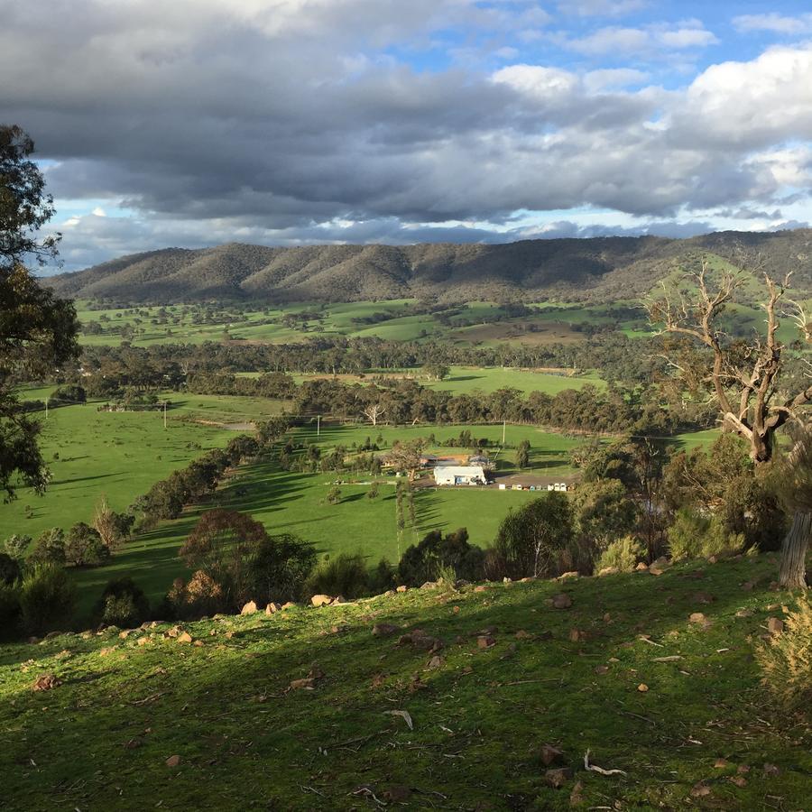 Yeoy'S Cabin Tallarook Esterno foto